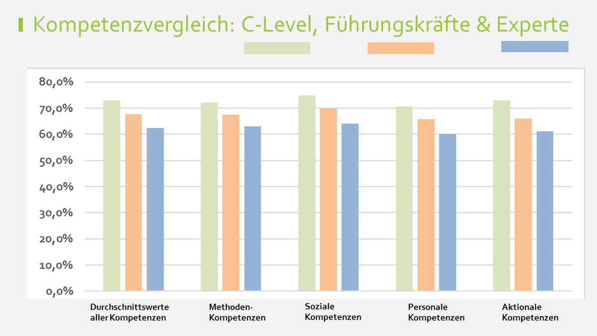 Grafik Kompetenzvergleich Führungskräfte